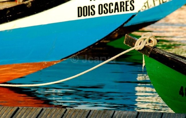 2 Oscars - Moliceiros