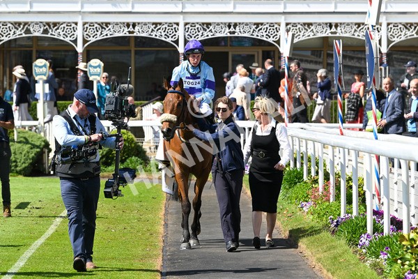 140525-Race 2-Rousing Encore-1901 - Race 2 2.42pm Churchill Tyres Handicap