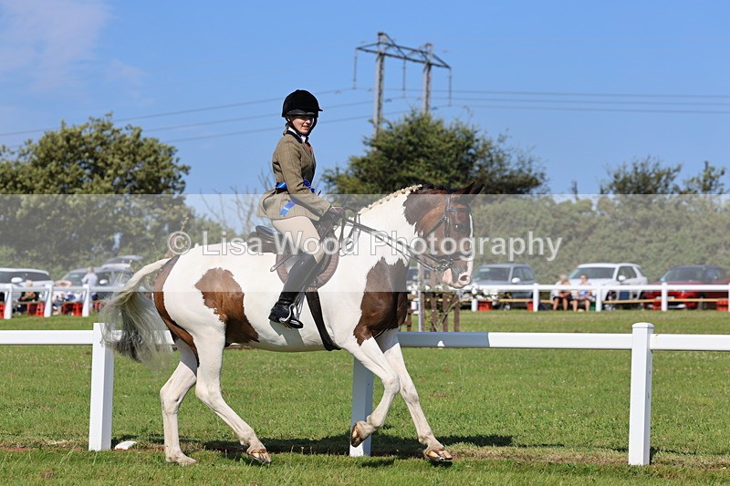 IMG_1630 - Skewbald and Piebald Ridden Championship