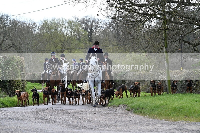 WJ7_9777 - Walk Home