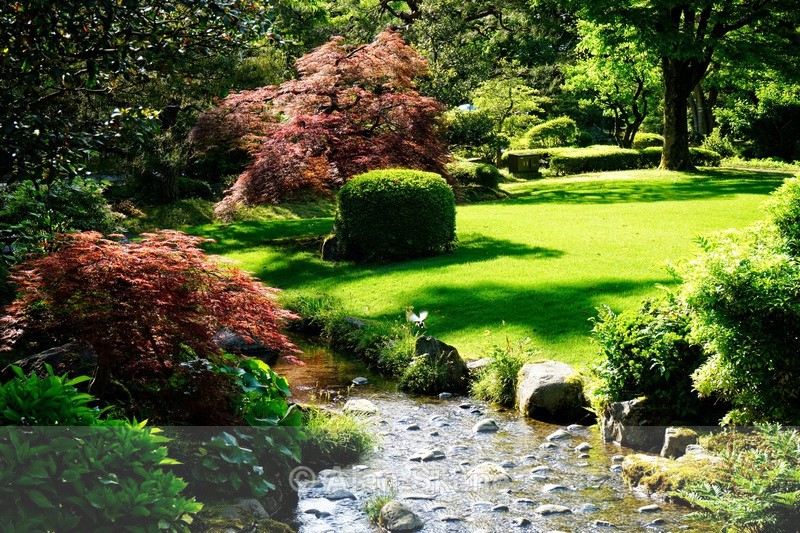 DSC05227 - Kanazawa