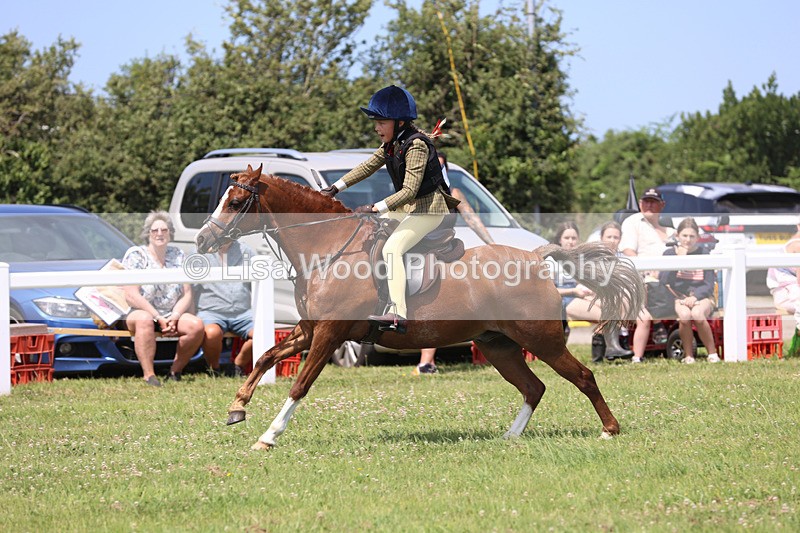 JPP_2518 - Class 21: Working Hunter 60cm