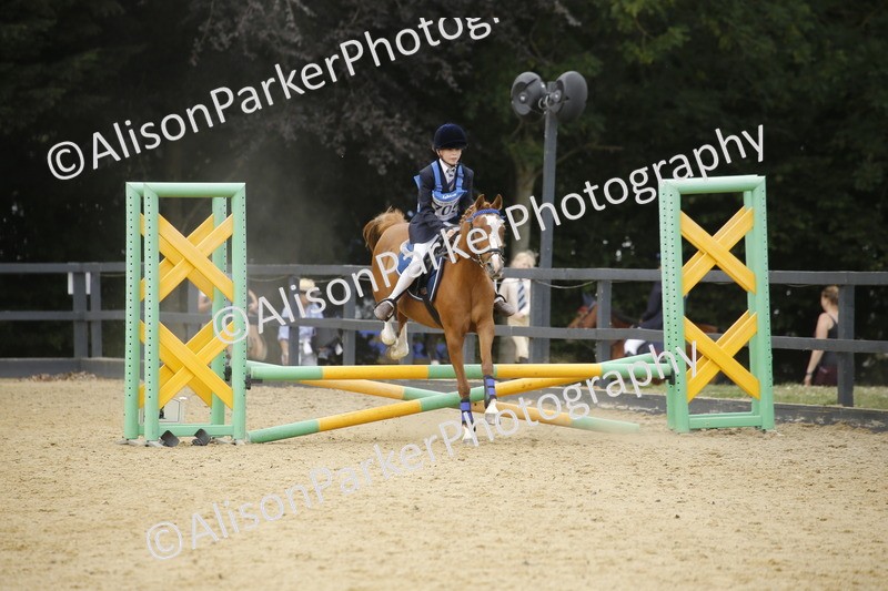 20250622-5827 - 60cm