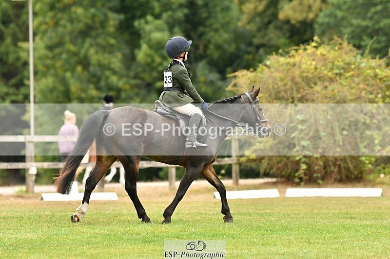 250820A-111641-04979 - 11am to 12