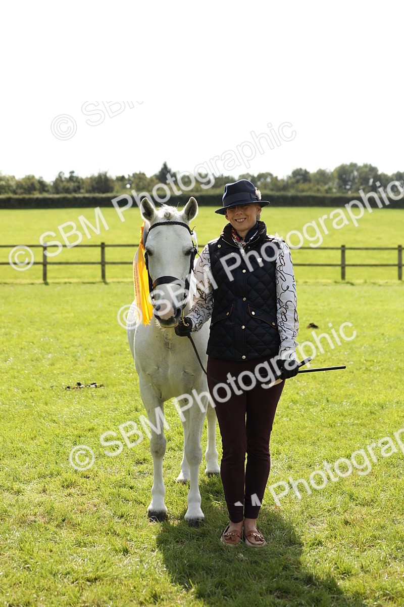 SBM_65627 - S48 - Show Pony & Show Hunter Pony In Hand