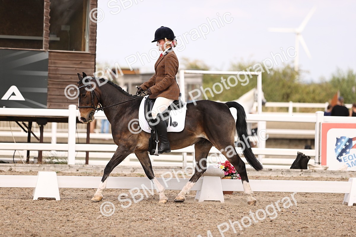 SBM_06049 - Class 37 Novice 5