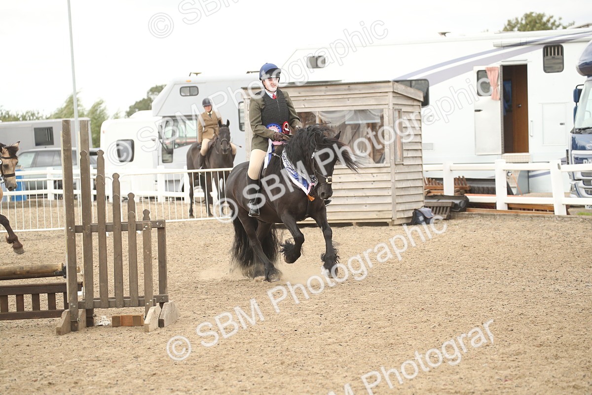 SBM_16711 - Class 507a - Working Veteran - 60cm (15-19)