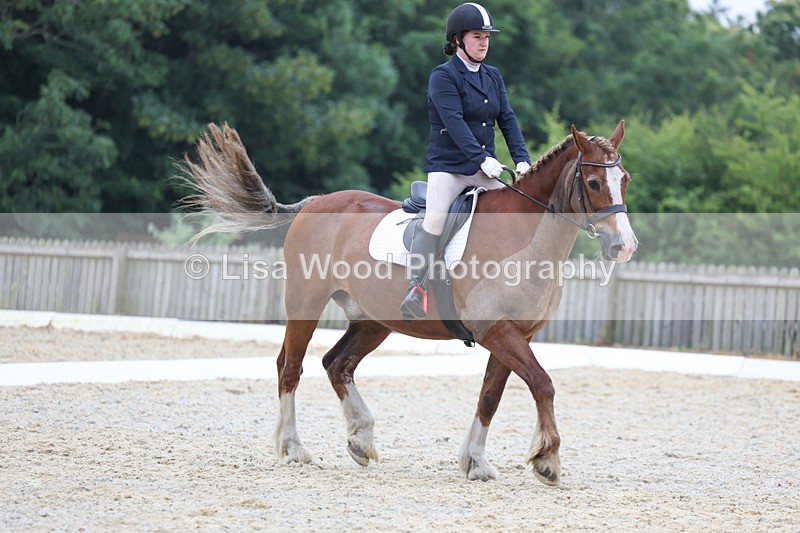 3E7A7995 - Class 1: Intro 3 2024 section A