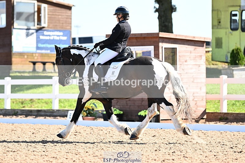 240816A-101414-03778 - 148-Donna.Willis-Cerrighedd.Yago