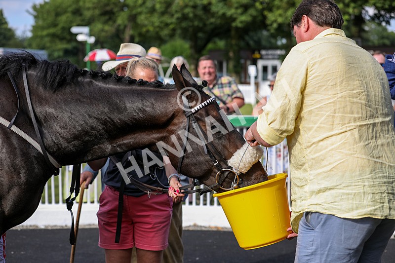 240624-Race 8-Le Beau Garcon-0675 - Race 8