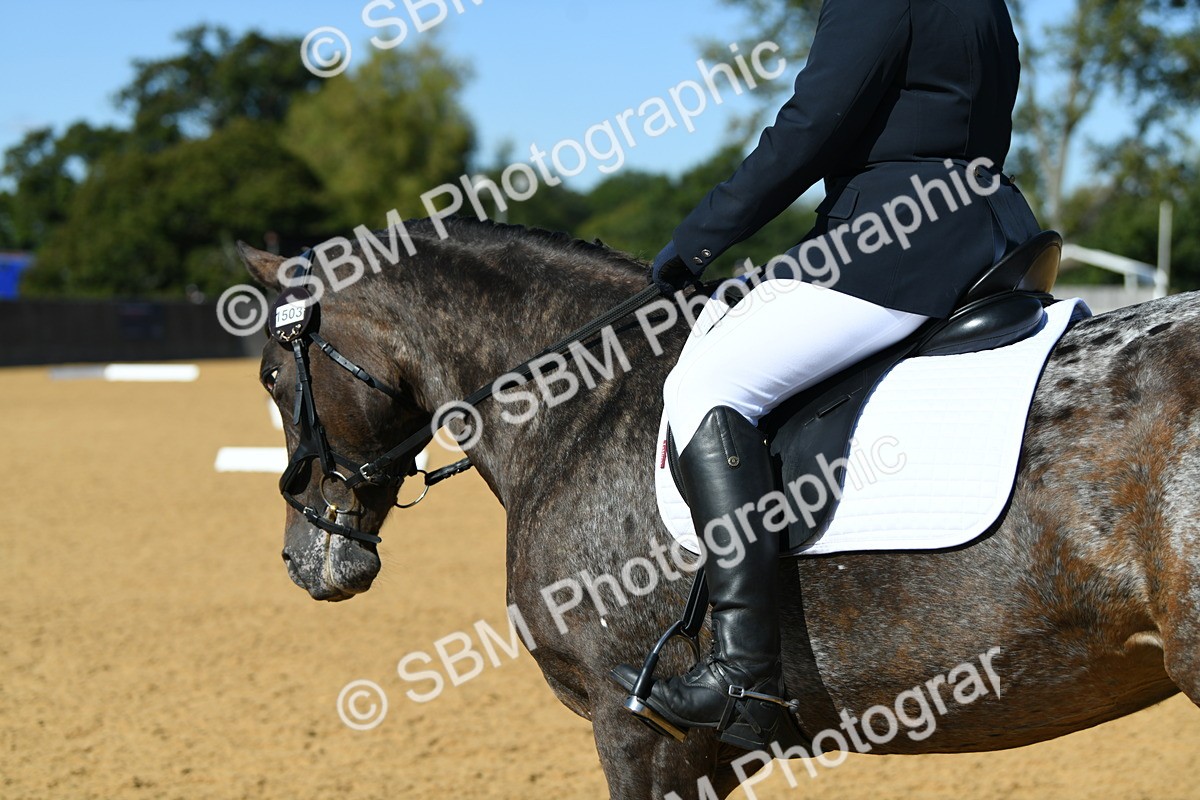 SBM_24811 - D13 - Grand Tour Championship - Prelim 12