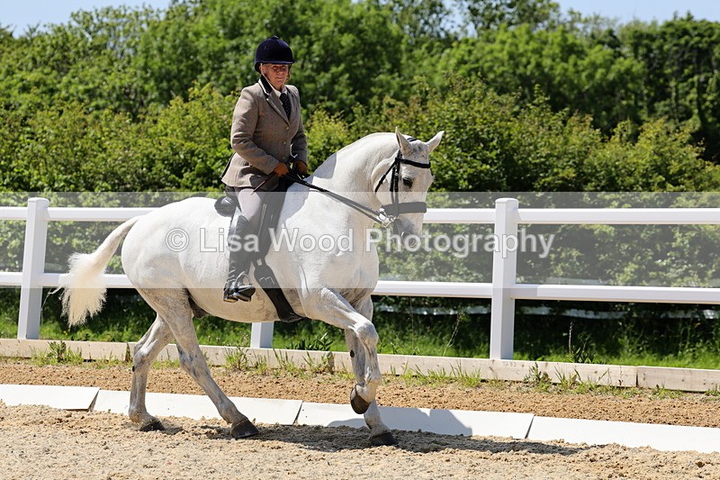 1X9A1775 - Class 11: Ridden Cob