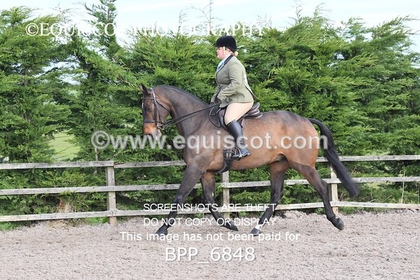 BPP_6848 - RING 1  (RIDDEN HORSES / IN HAND / VETERAN ETC)