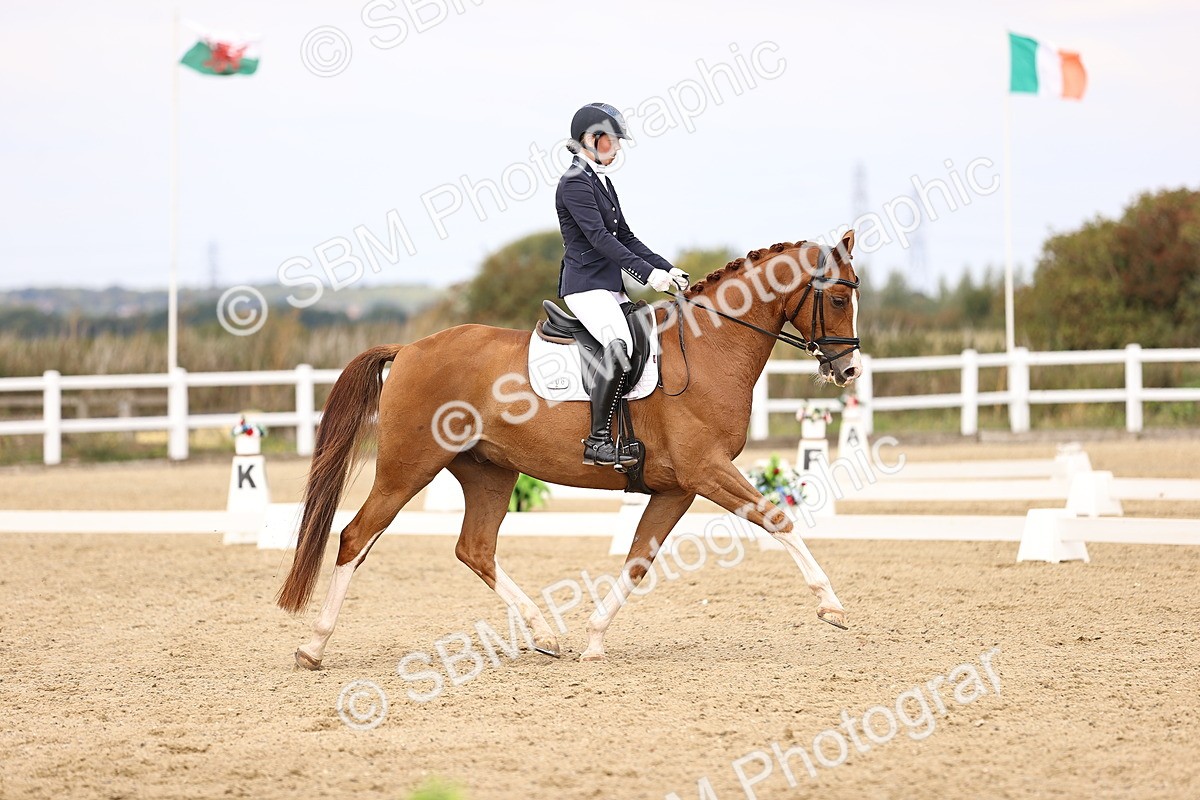 SBM_013800 - Class 4 - Novice 5  12.13-13.02