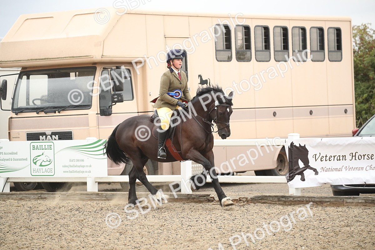 SBM_18428 - Class 509B - Working Veteran - 80cm (20+)