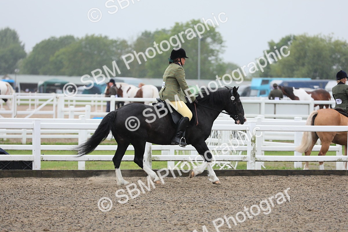 SBM_20072 - Class 802 - Ridden Groom - Helpers class