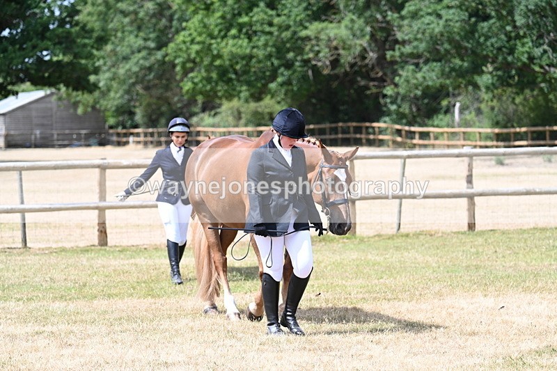 WJ7_1796 - Class 4a Prettiest Mare 14.2hh and over hand