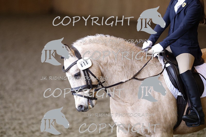 _R6A1430 - Class 1 walk trot 2022