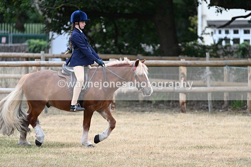 WJ7_0426 - Class 2 Best rider