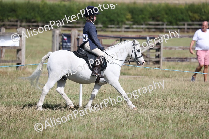 20260906-2570 - Class 18 - Childs First Pony