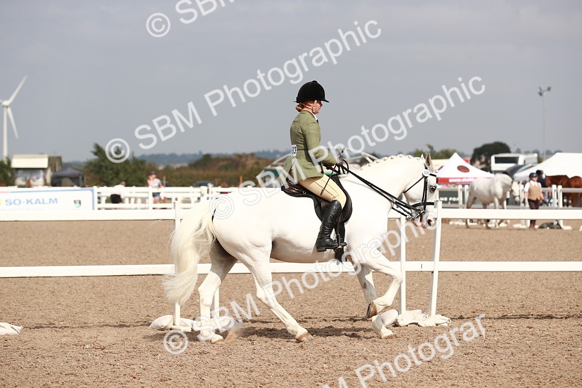 SBM_14829 - Class 212 Ridden Hunter - Small