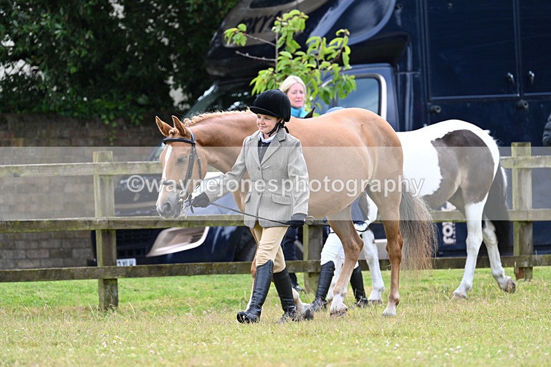 WJ7_6516 - Class 5 Handsome Gelding in hand