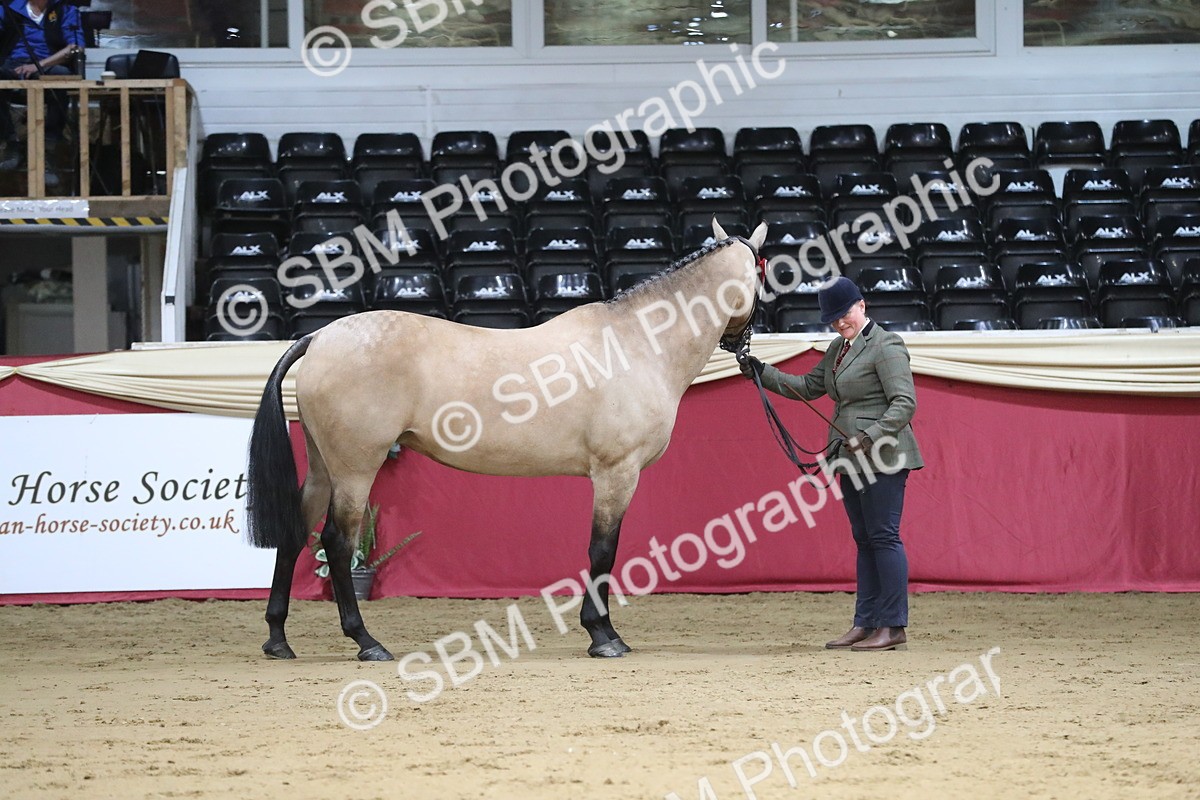 SBM_05017 - Class 8R- Regional -IH Veteran