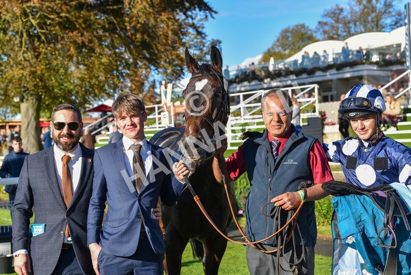 141023-Race 5-Certain Lad-1419 - Race 5 3.35pm Coral Racing Bet Bundles Handicap