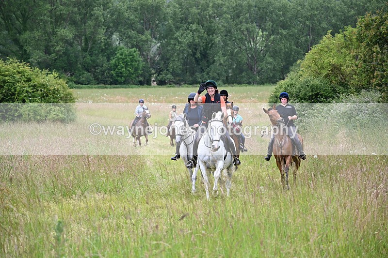 WJ6_8400 - Camera 1 Gallops