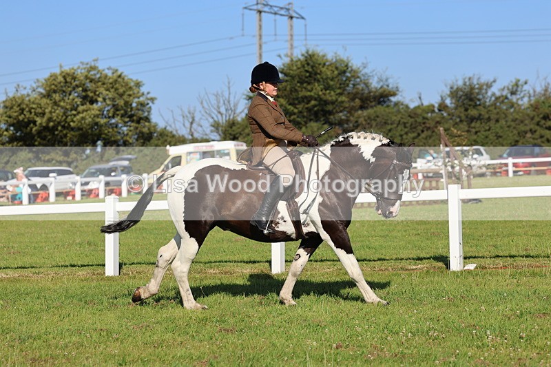 IMG_1377 - Class 28: Ridden Plaited Coloured Pony