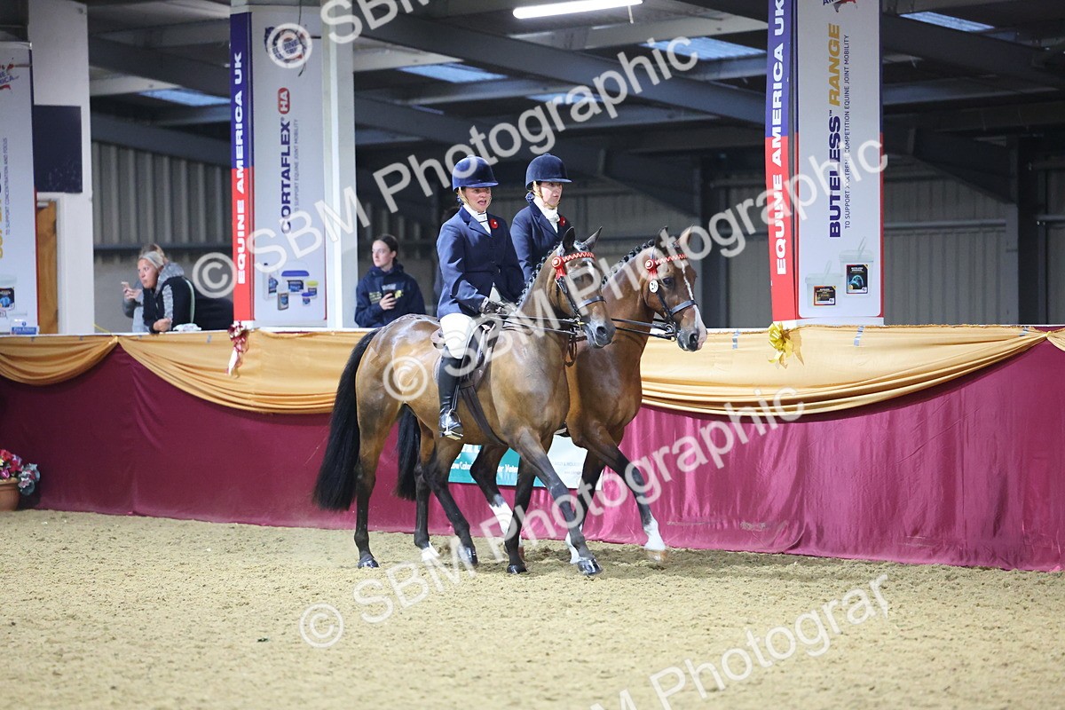0B8A4338 - Class M Ridden Pairs Champ