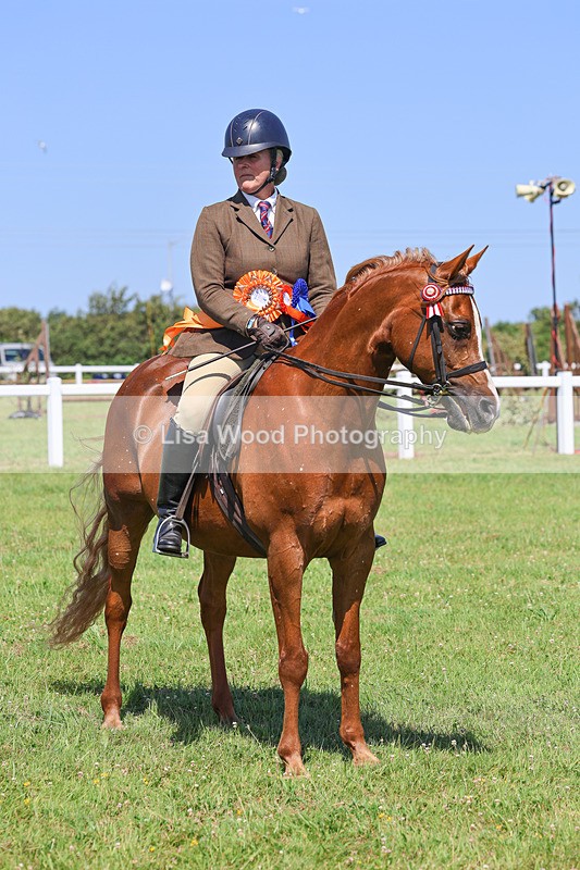 IMG_2259 - Class 37: Pure, Anglo & Part Bred Ridden Arab