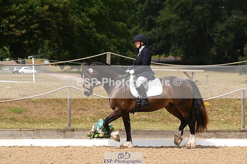 250720A-115651-10083 - 079-Amanda.Williams-Llanarth.Westminster