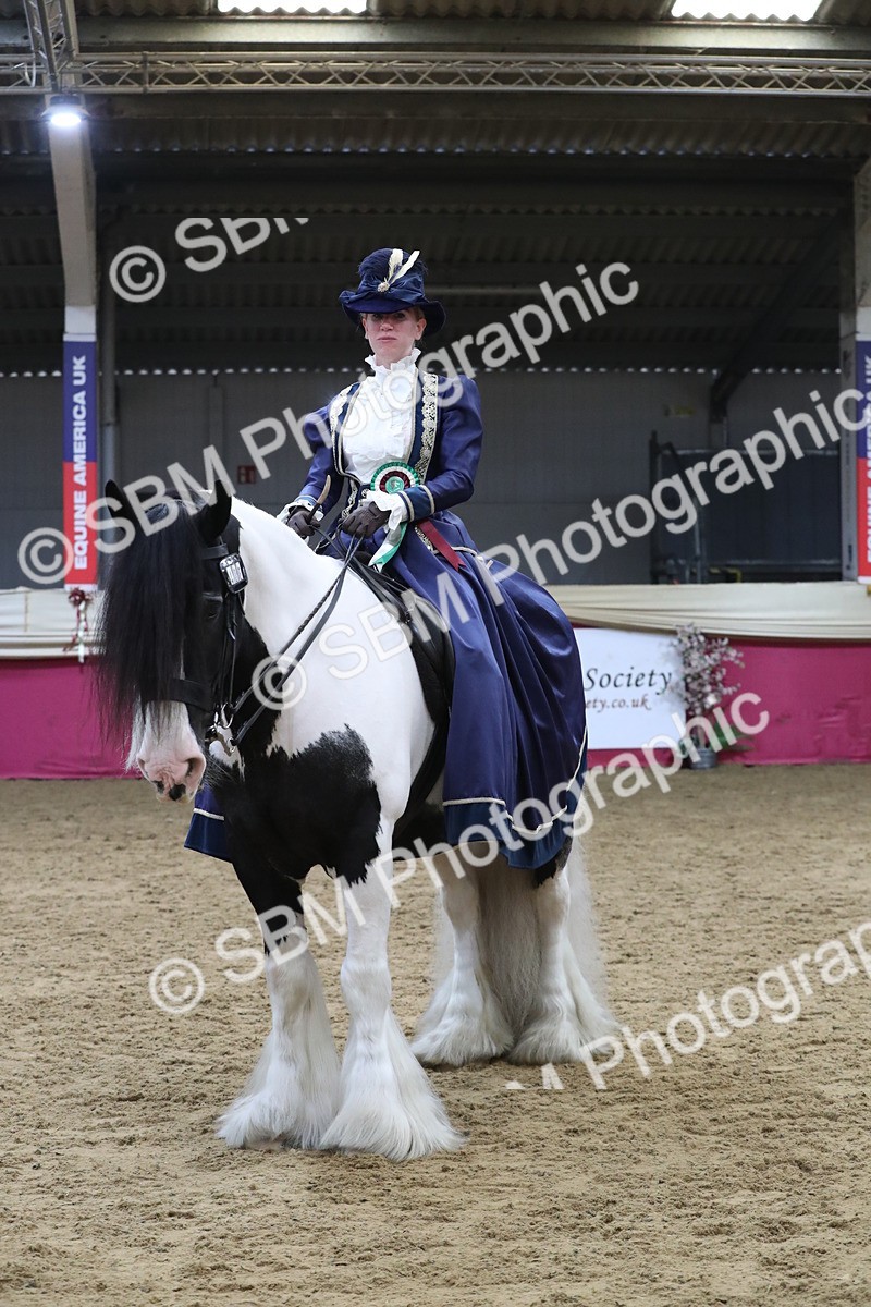 SBM_12065 - Class 106 Ridden Costume- Astride Adult (15-19)