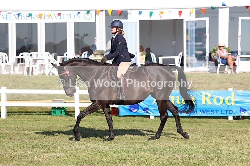 3E7A5361 - Class 2: Rising Star Large Hack/Riding Horse