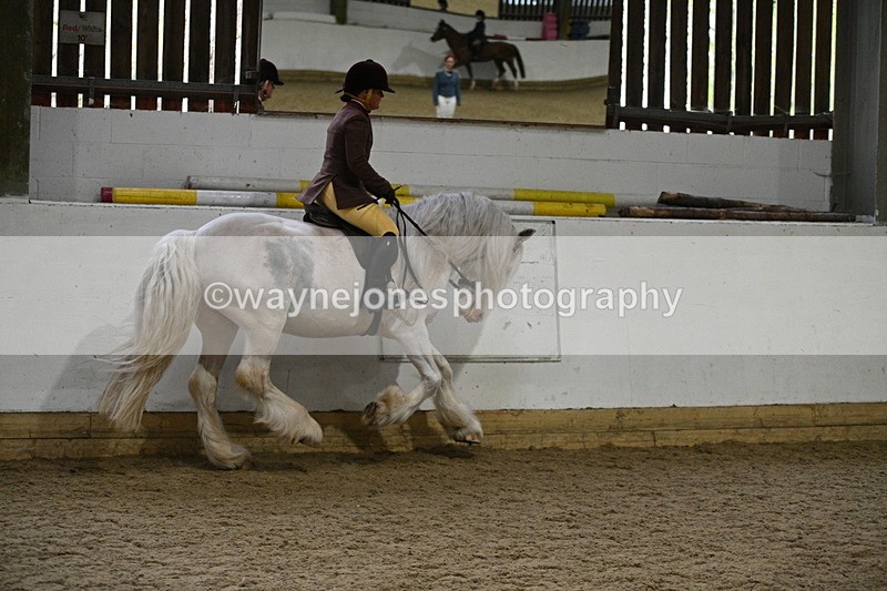 WJ7_3817 - Class 17 Ridden Cob