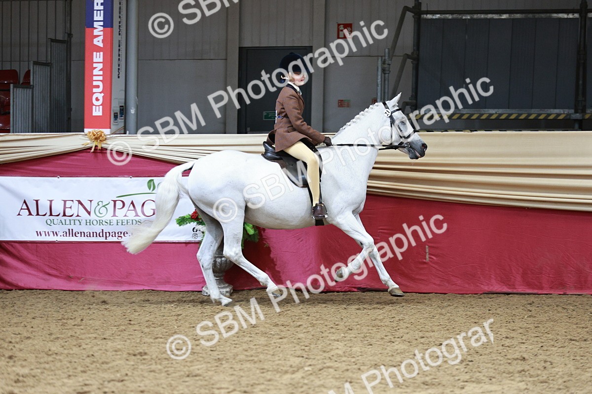 SBM_02995_Class 5a - Area - Ridden Veteran - Vicky Gutteridge