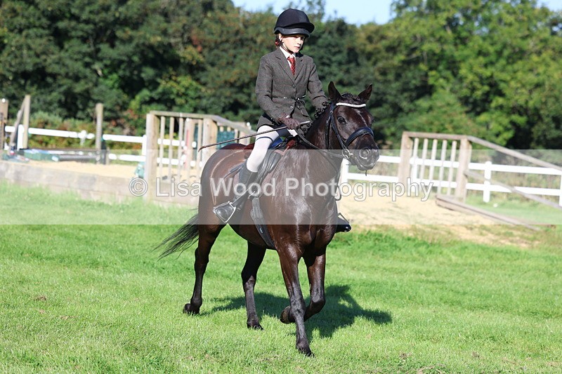 3E7A7636 - Class 1: Novice Working Hunter Pony