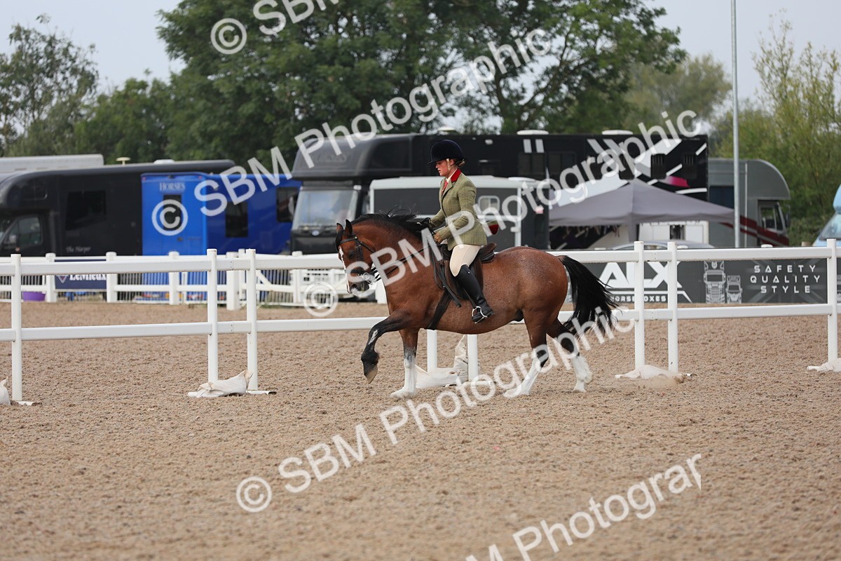SBM_10033 - Class 302 Ridden M&M -Large Breeds