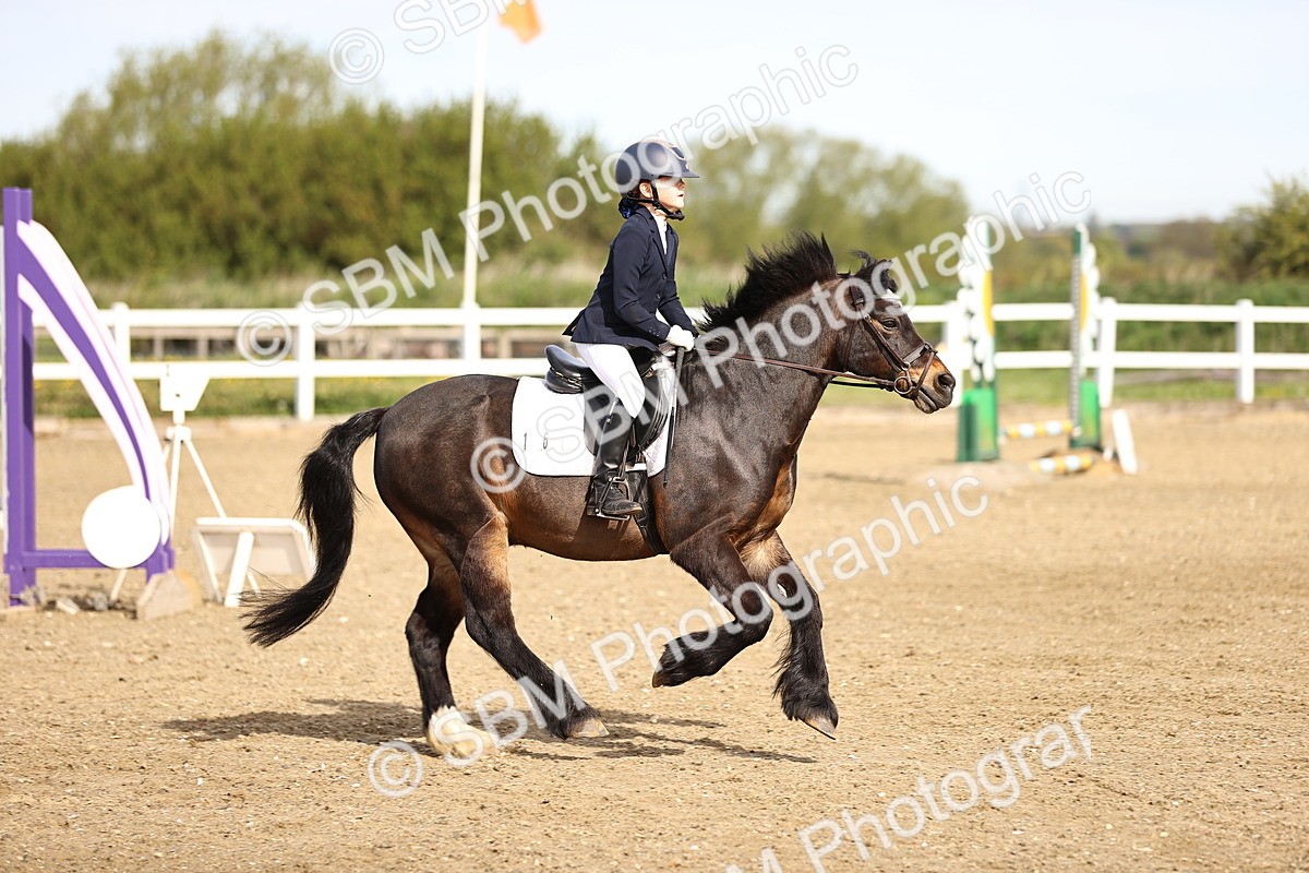 SBM_000081 - 50cm