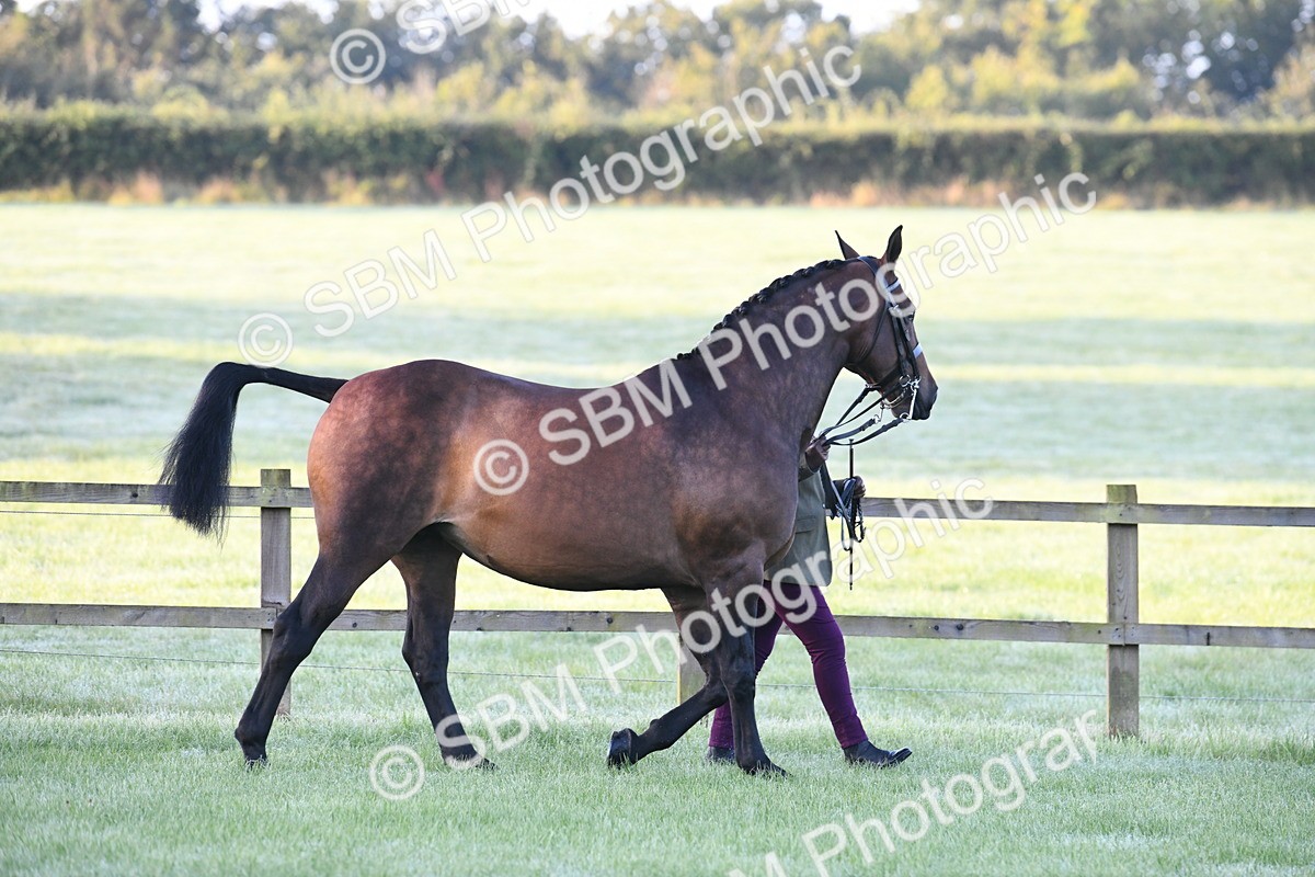 SBM_32405 - S15 - Condition & Turnout In Hand