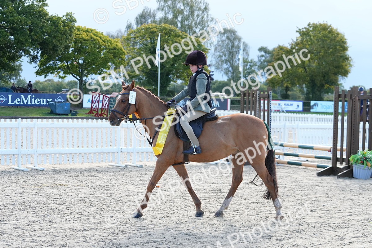 SBM_36412 - J5 - Junior Pony 50cm Championship
