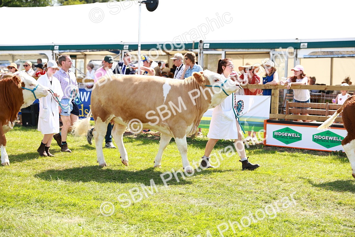 SBM_08437 - Grand Parade
