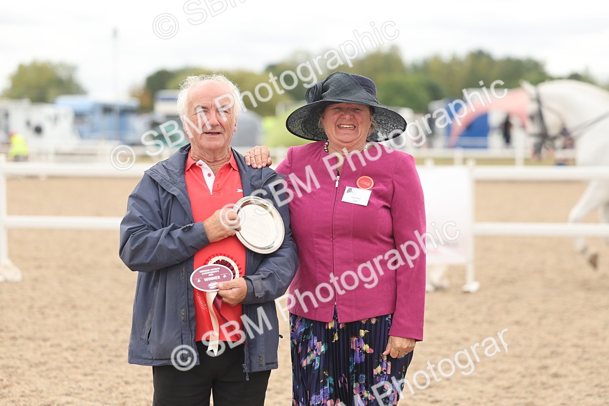 SBM_17022 - Class 312 - IH Competition Horse-Pony
