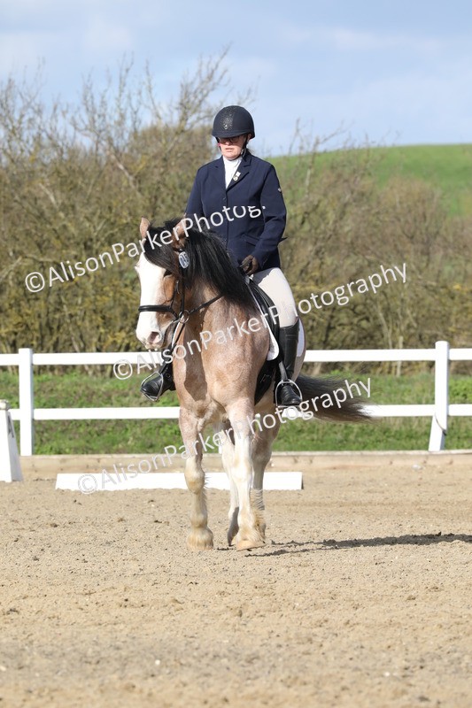 20260314-4993 - CT6 - Elementary 1