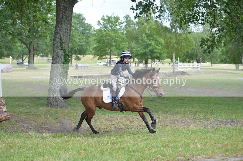 NGP_7698 - Time 11:28 to 11:38