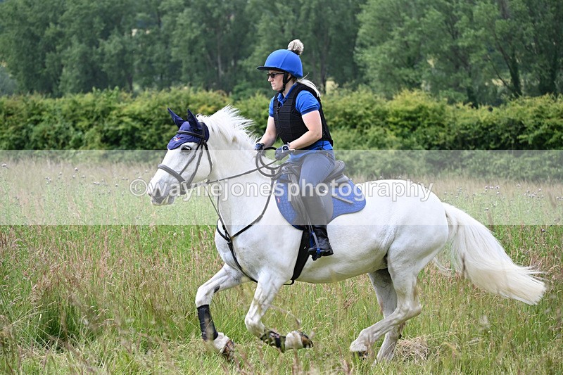 WJ6_7973 - Camera 1 Gallops