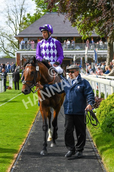 170523-Race 5-Dark Thirty-0725 - Race 5 4.10pm Conundrum HR Consulting Handicap
