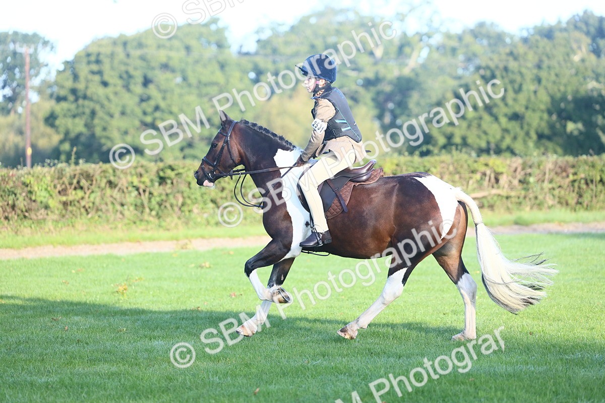 SBM_32242 - S28 - Nursery Stakes Working Hunter Pony