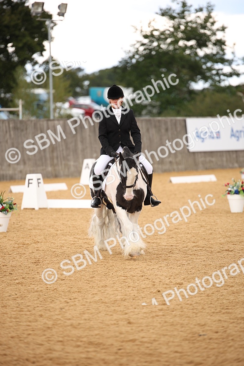 SBM_08929 - D8 Small Tour Championship Prelim 7